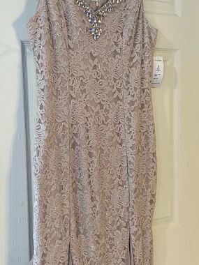 Alex Evenings Cameo Lace Sparkly Evening Dress with Jewel Accents And Jacket.